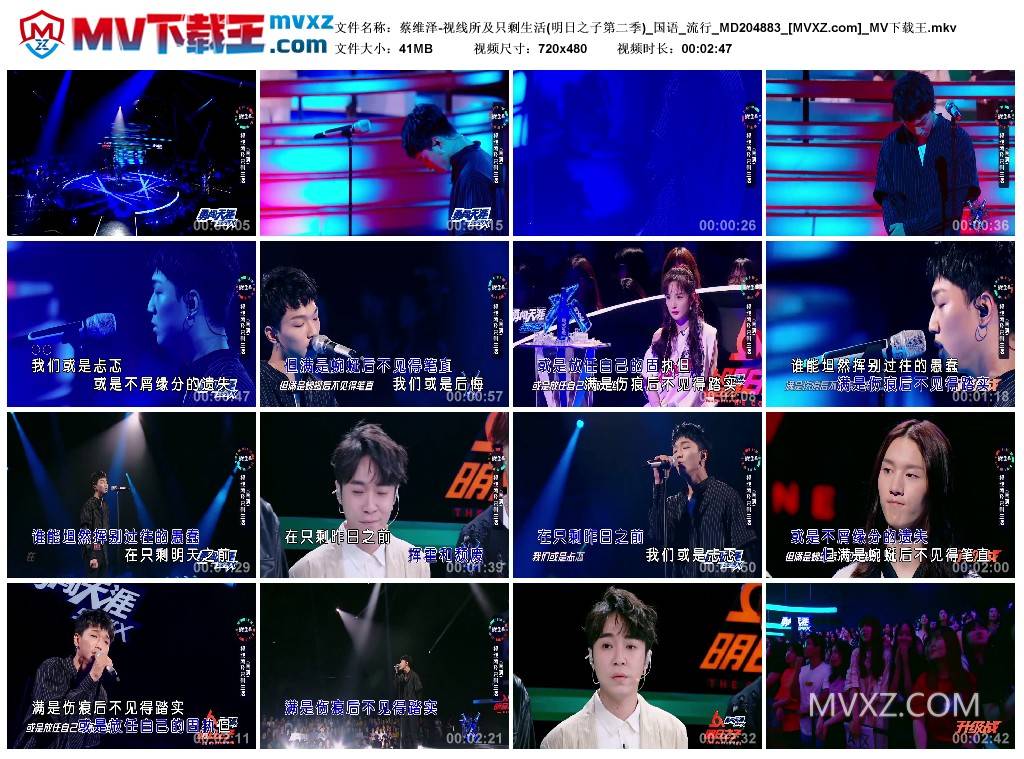 蔡维泽-视线所及只剩生活(明日之子第二季)_国语_流行_MD204883